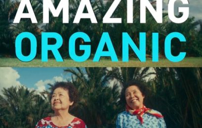 Amazing Organic เที่ยววิถีออร์แกนิคของดีไม่ต้องพ’ยาม